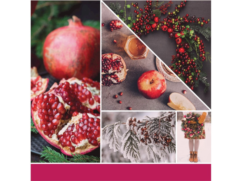 41218-sparkling winterberry - kopie